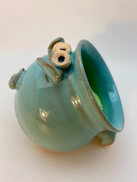 Teal Scrubber Buddie