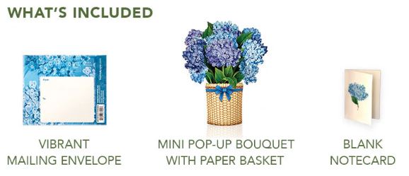 Mini Hydrangeas Pop-up Card