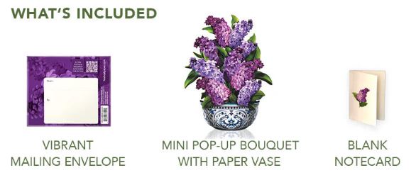 Mini Garden Lilacs Pop-up Card