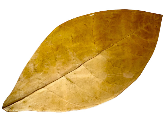 Flue Cured Tobacco Leaf Tray