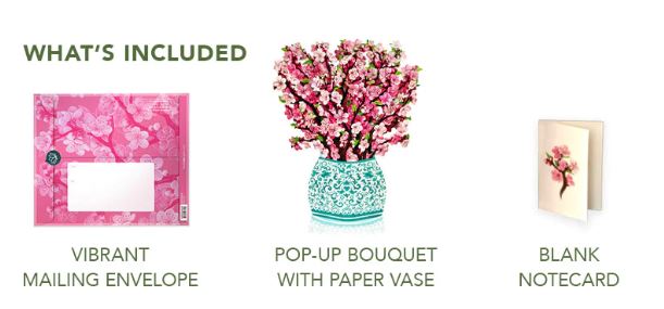 Cherry Blossom Pop-up Greeting Card