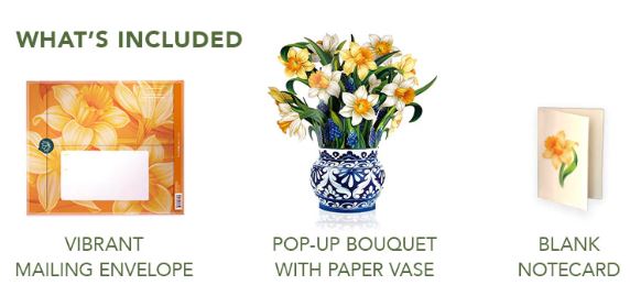 Daffodils Pop-up Greeting Card