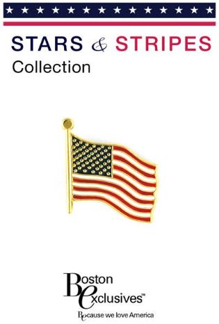 Lapel Pin Stars and Stripes Flag
