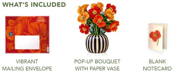 Poppies Pop-up Greeting Card