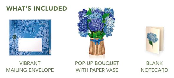 Hydrangeas Pop-up Greeting Card