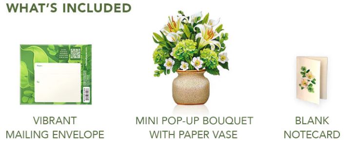 Mini Ivory & Sage Paper Pop Up Card