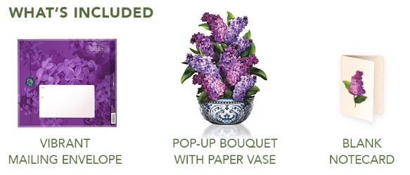 Garden Lilacs Pop-up Greeting Card