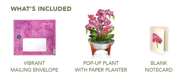 Orchid Oasis Pop-up Greeting Card
