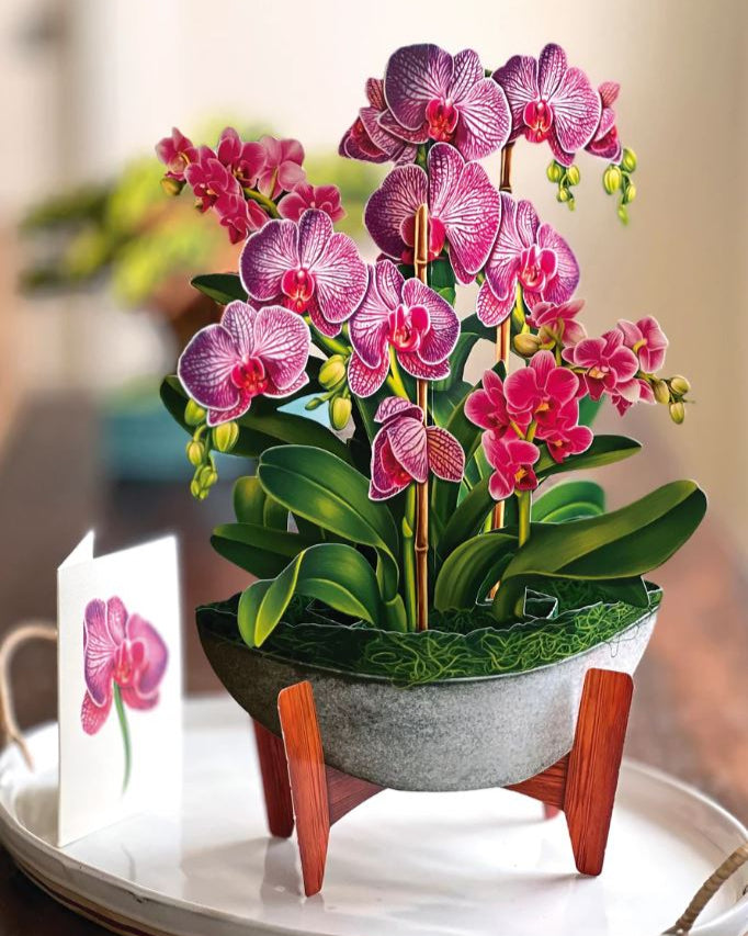 Orchid Oasis Pop-up Greeting Card