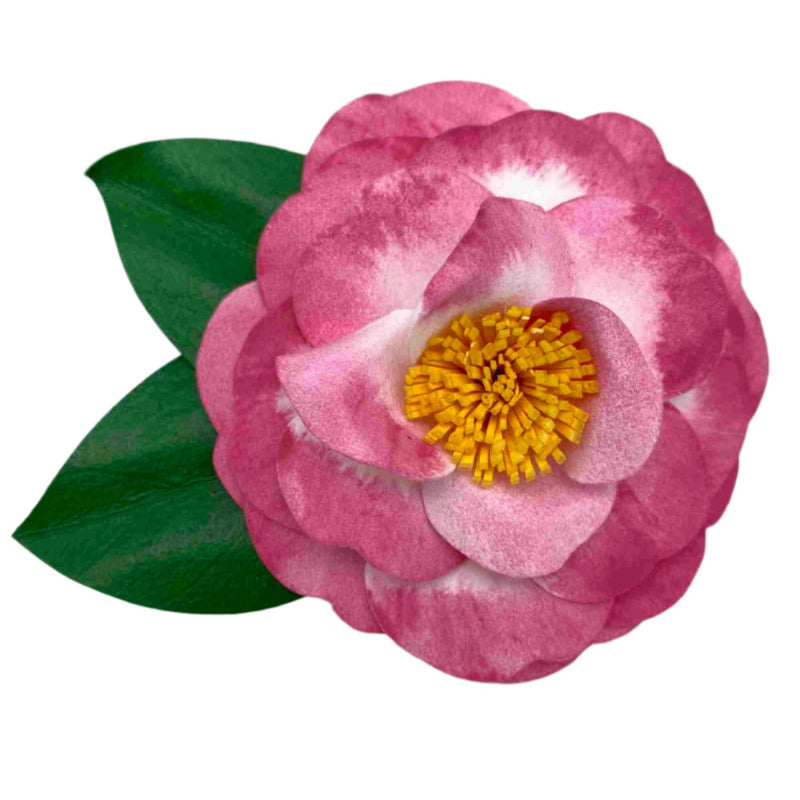 Pink Variegated Camellia Pin