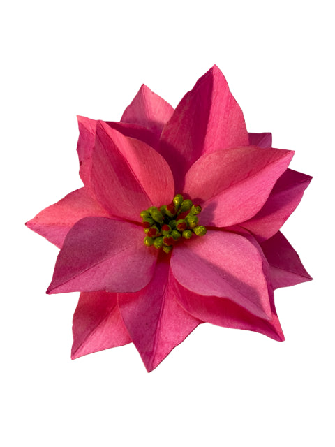 Pink Poinsettia Pin