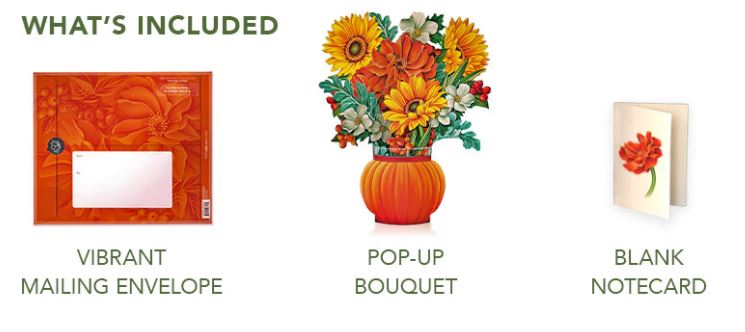 Pumpkin Harvest Pop-up Greeting Card