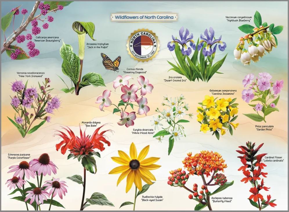 Wildflowers of NC 1000 pc Puzzle