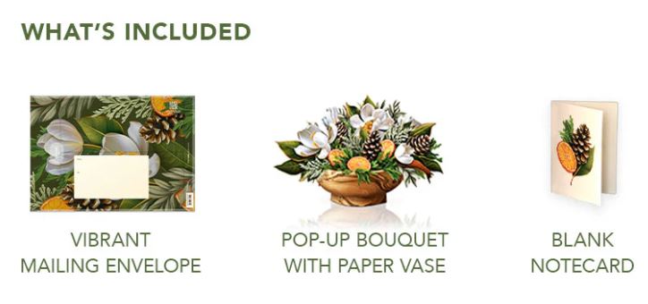 Winter Magnolia Pop-up Greeting Card