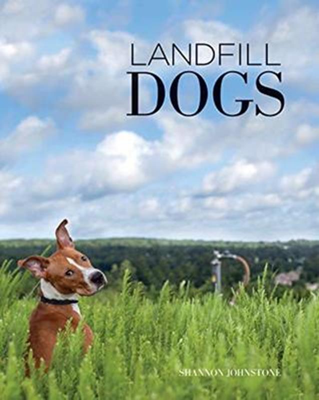 Landfill Dogs