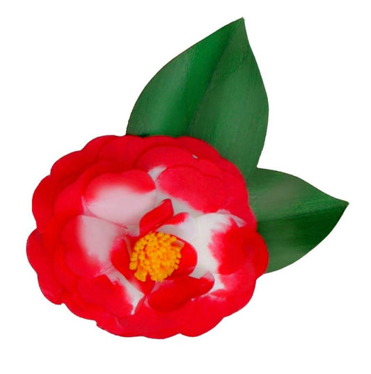 Red & White Variegated Camellia PIn