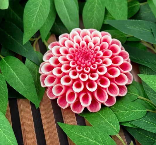 Close-up of a pink flower with green leaves in the background