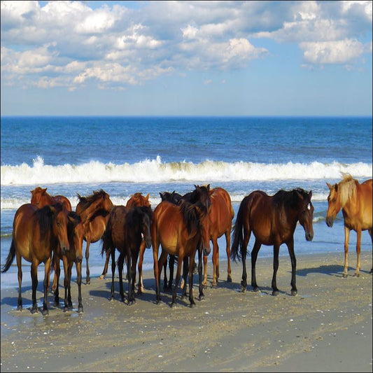 Beach Party/Outer Banks Horses 1000 pc. Puzzle