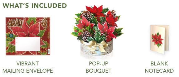 Birch Poinsettia Pop Up Paper Bouquet Card