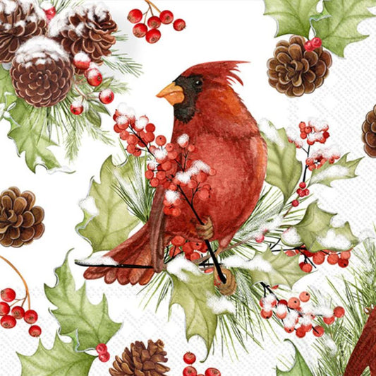 Cardinal in Holly Cocktail Napkins