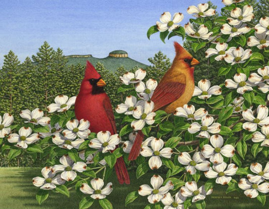 Two cardinals perched among white flowers with a scenic background