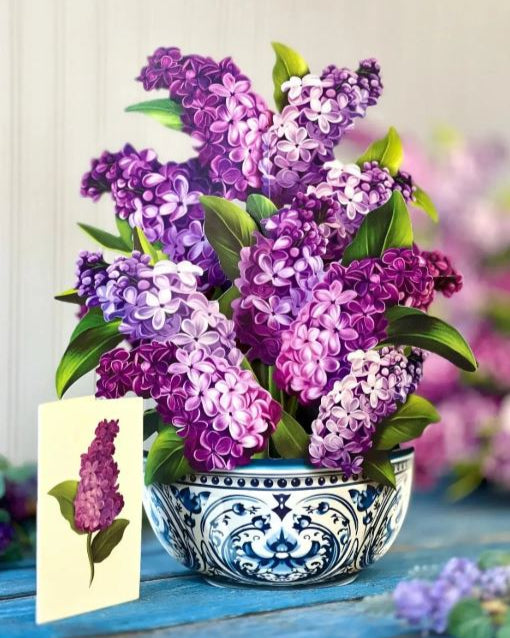 Garden Lilacs Pop-up Greeting Card