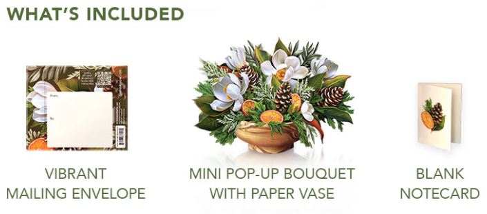 Mini Winter Magnolia Pop-up Greeting Card