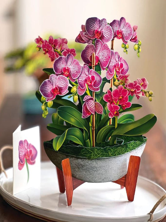 Orchid Oasis Pop-up Greeting Card