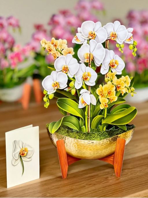Serenity Orchid Pop-up Greeting Card
