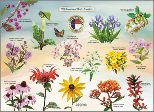 Wildflowers of NC 1000 pc Puzzle