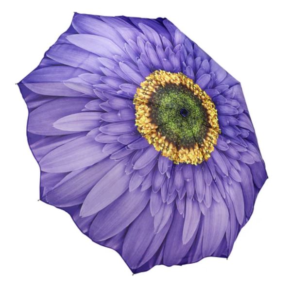 Wisteria Daisy Reverse Close Stick Umbrella